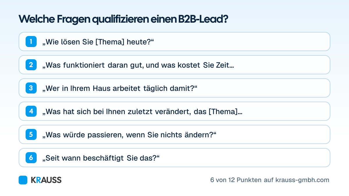 Die ersten 6 von 12 Punkten der Checkliste Welche Fragen qualifizieren einen B2B-Lead? Checkliste mit zwölf Fragen